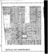Hamtramck Details - Left, Wayne County 1915
